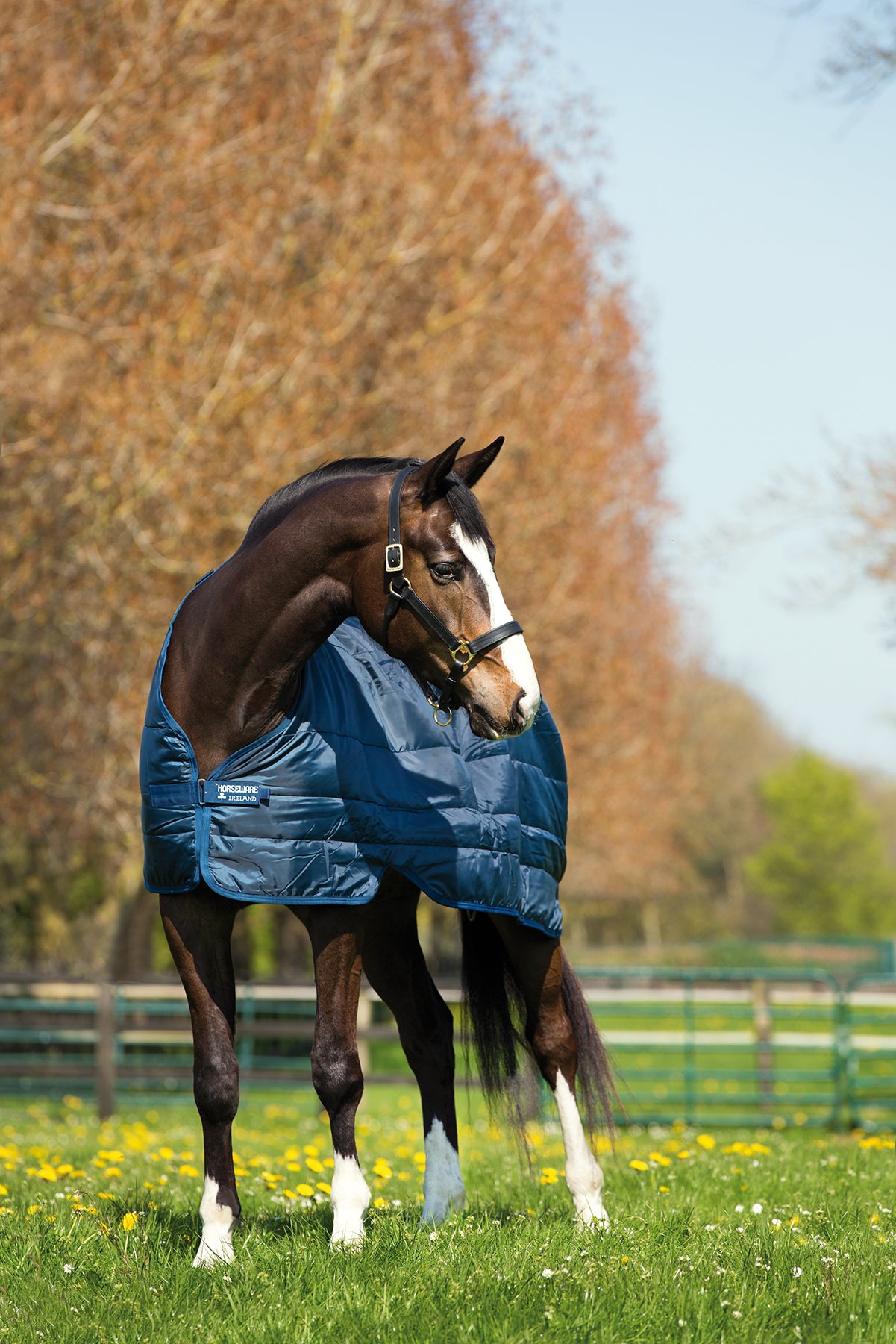 Horseware Liner, 200 g.