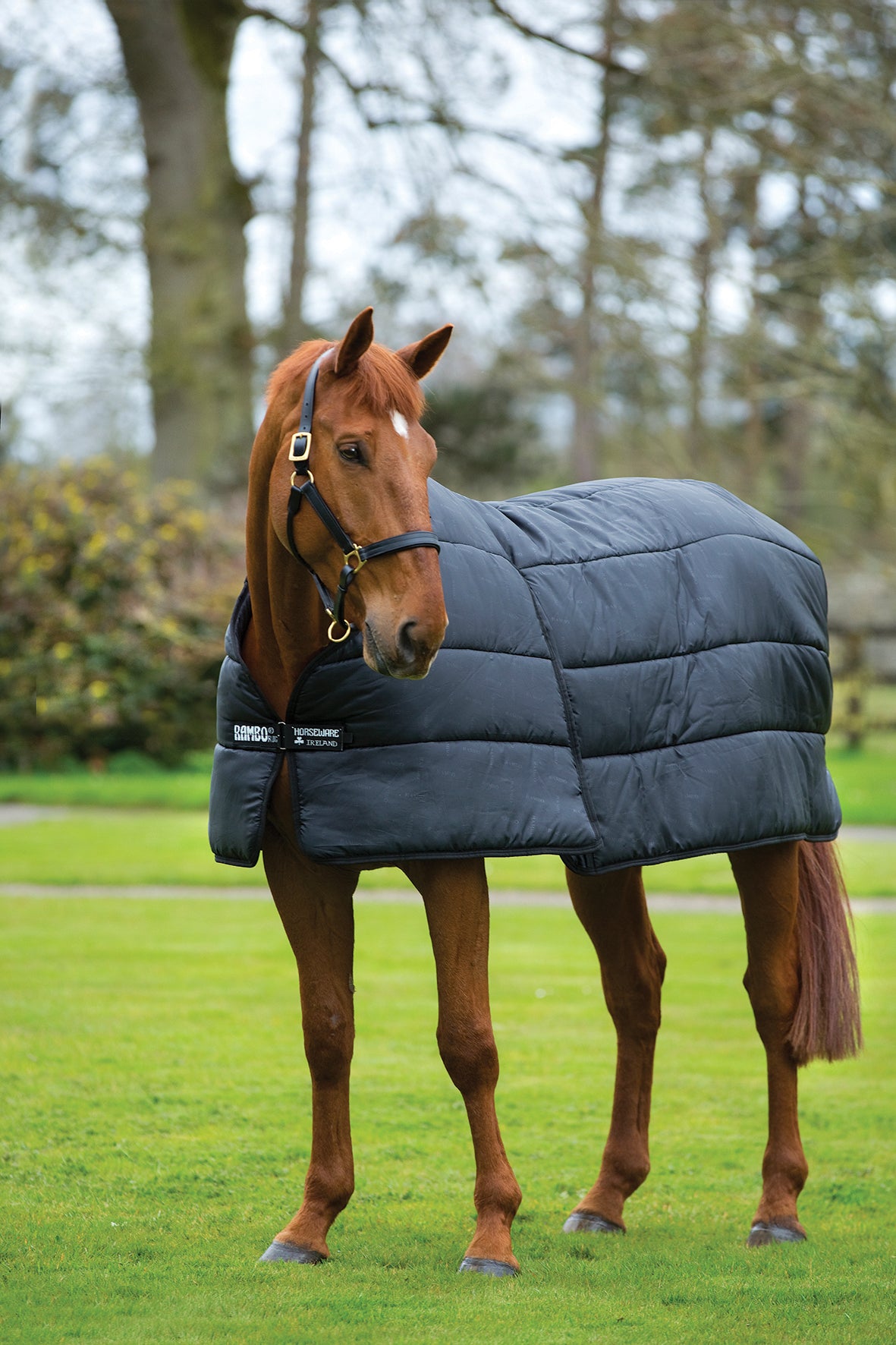 Horseware Rambo Optimo Liner 100 g.