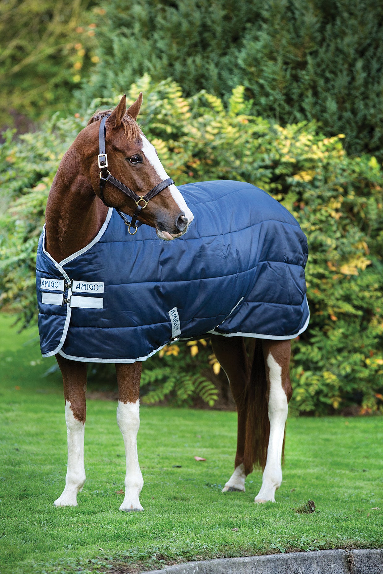 Horseware Amigo Insulator Medium, 200 g