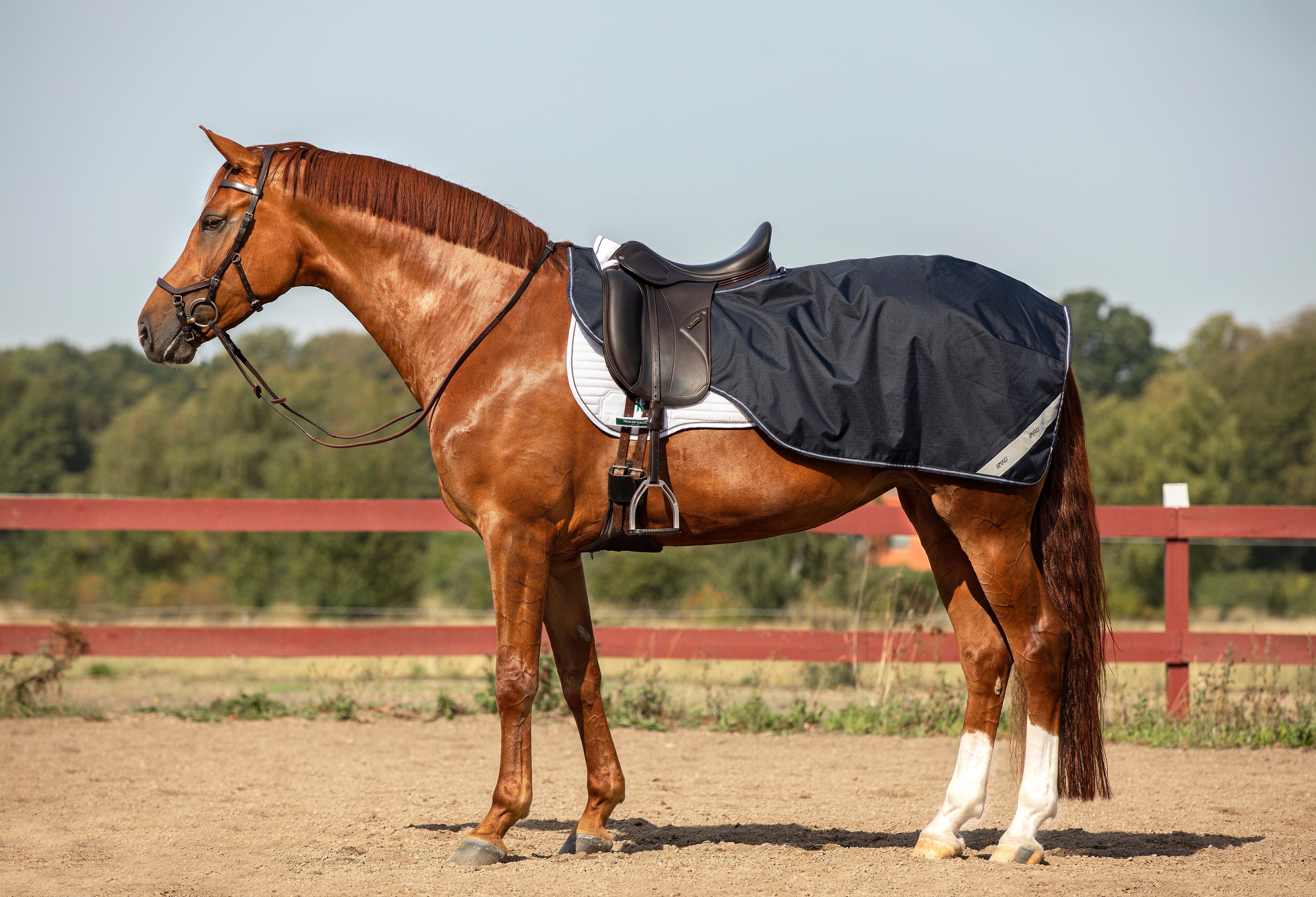 Horseware Amigo Ripstop Competition Sheet - OUTLET