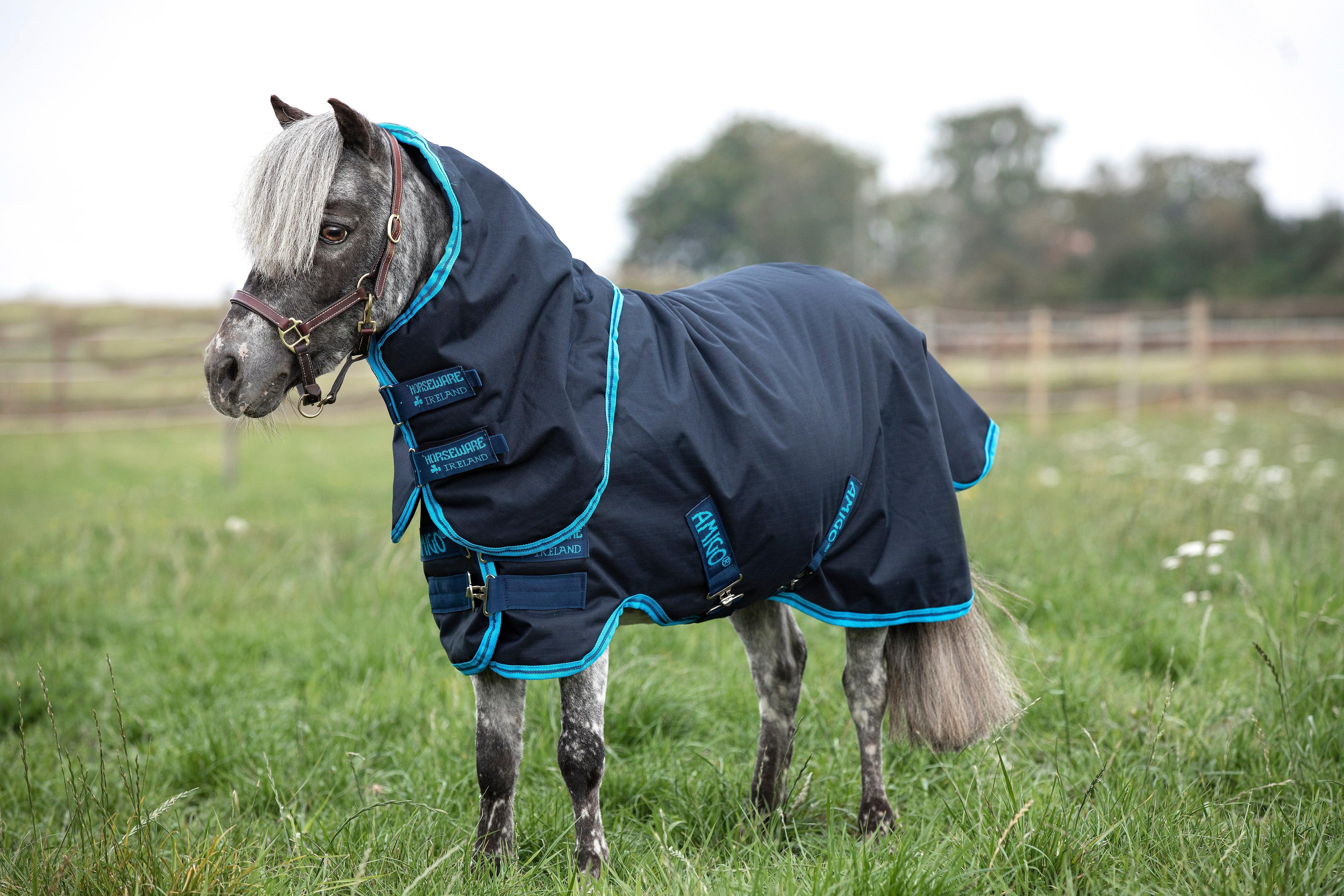 Horseware Amigo Hero 6 Petite Plus 200 g. - OUTLET