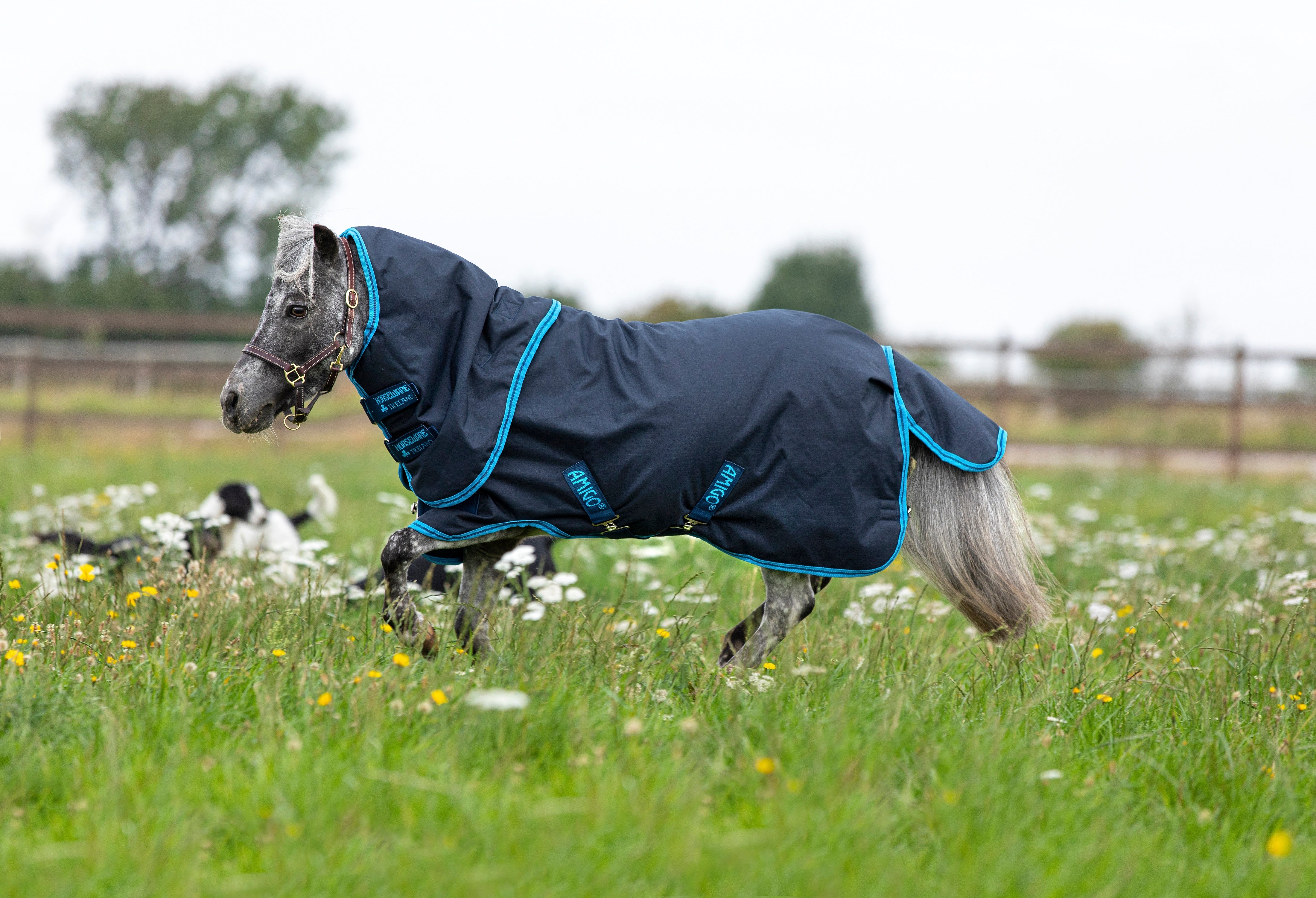 Horseware Amigo Hero 6 Petite Plus 200 g. - OUTLET