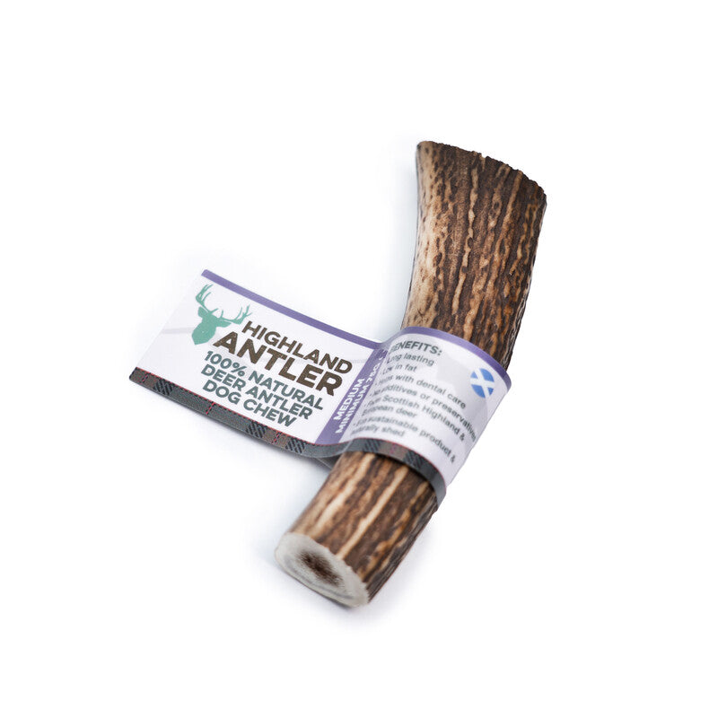 Nova Dog Chews Antler - hjortegevir
