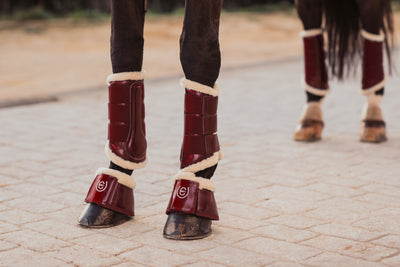 Equestrian Stockholm Bordeaux Bell Boots