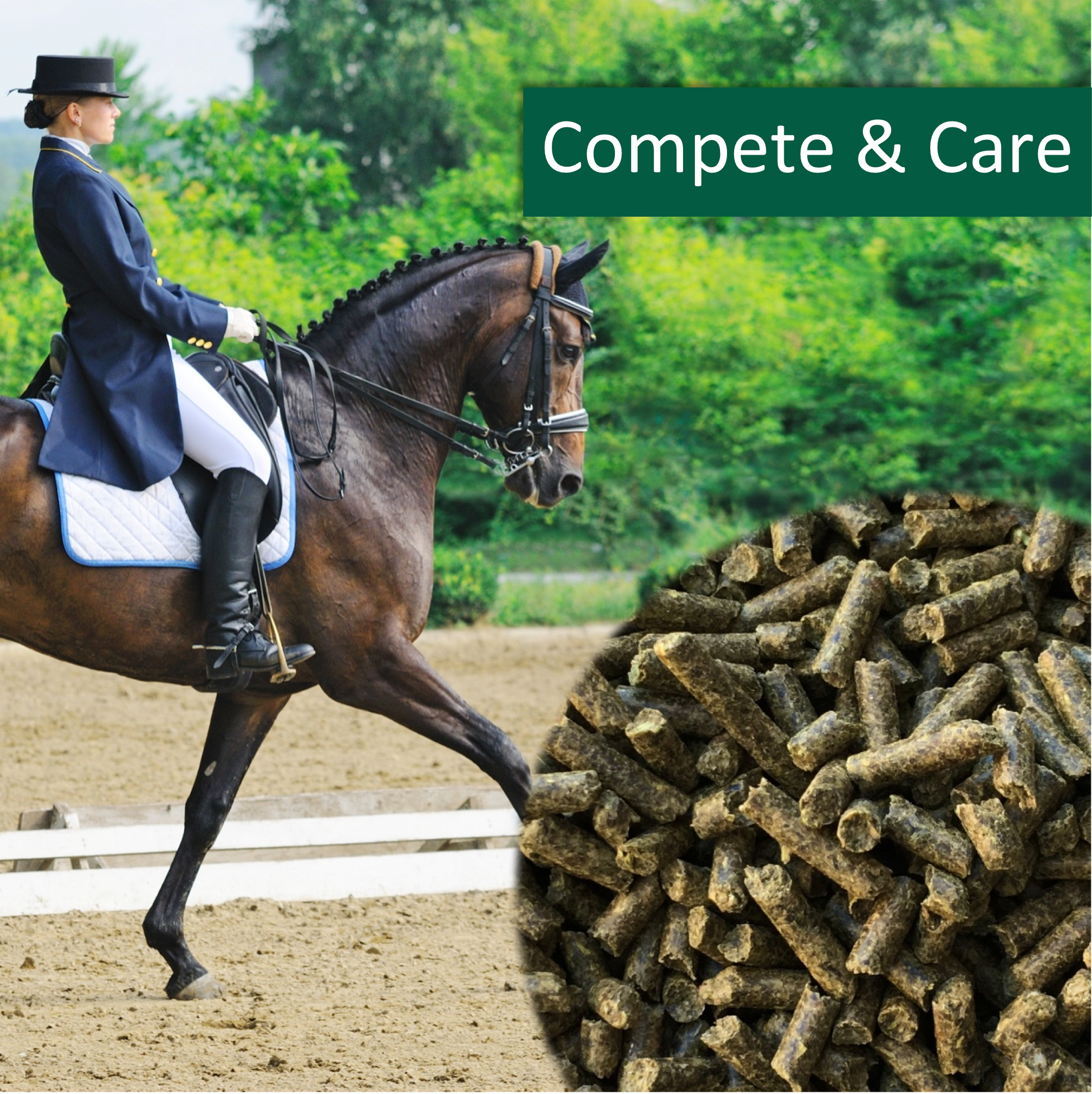 HorsePro Compete & Gastro Care -  Bestillingsvare