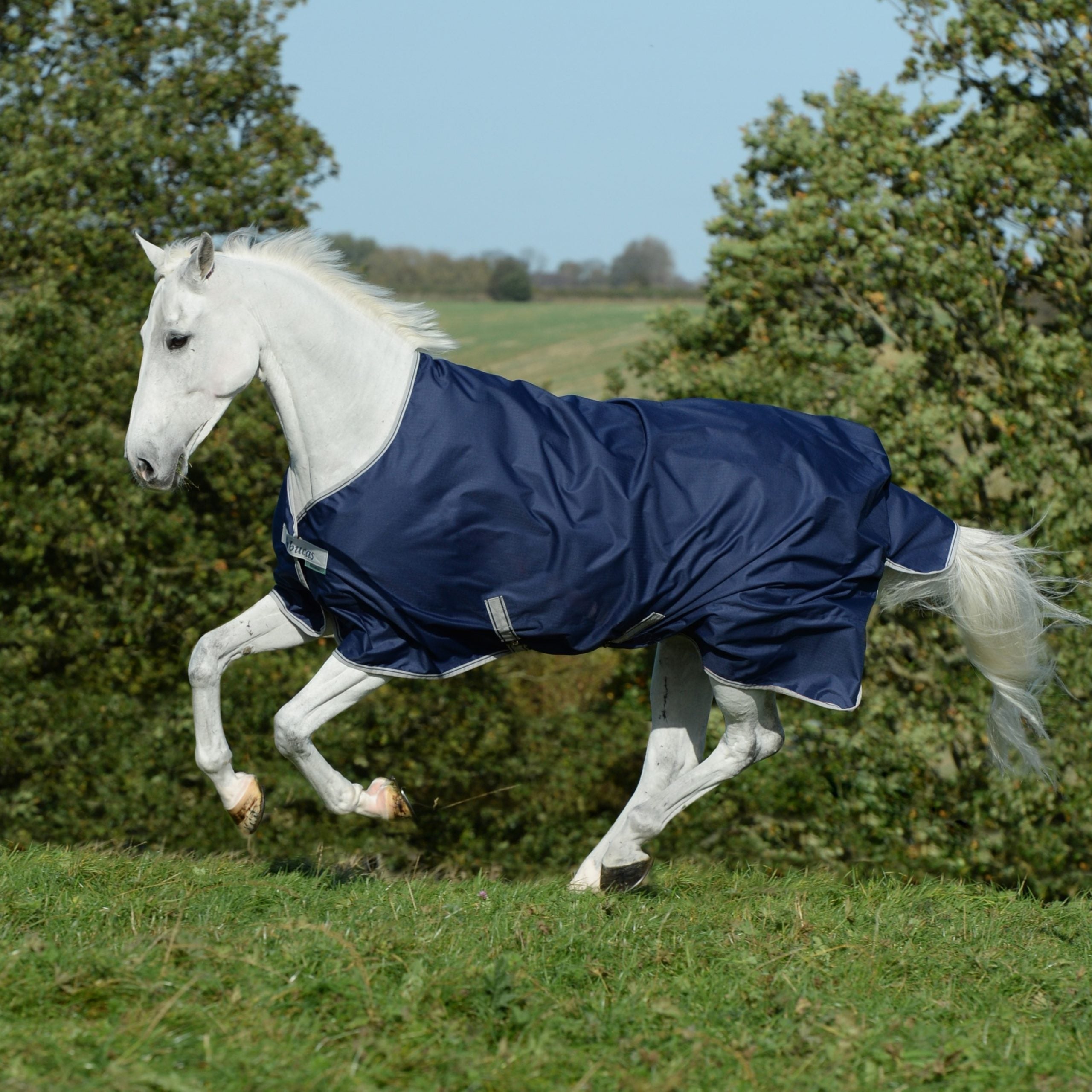 Bucas Freedom pony turnout, 300 g - OUTLET