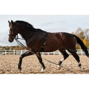 HorseGuard Longeringssystem