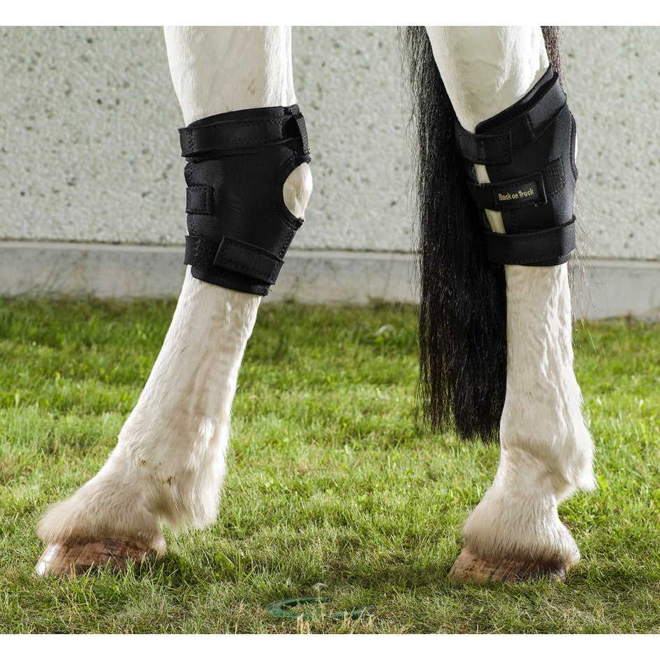 Back on Track  Hasebandage m. hul