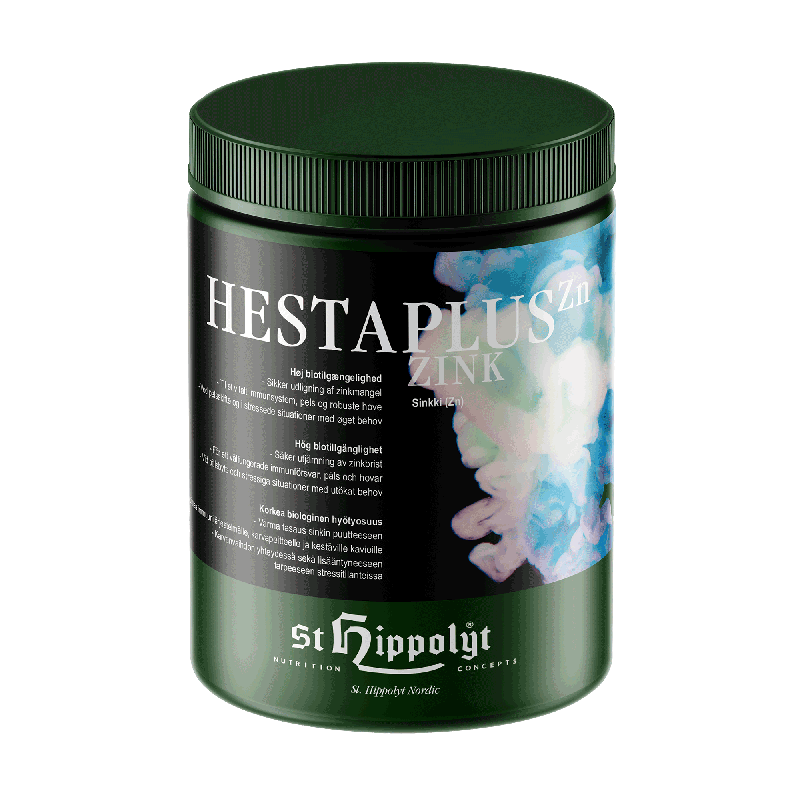 St. Hippolyt Hestaplus Zink