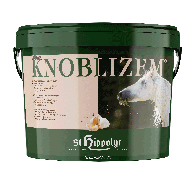 St. Hippolyt Knoblizem - Bestillingsvare