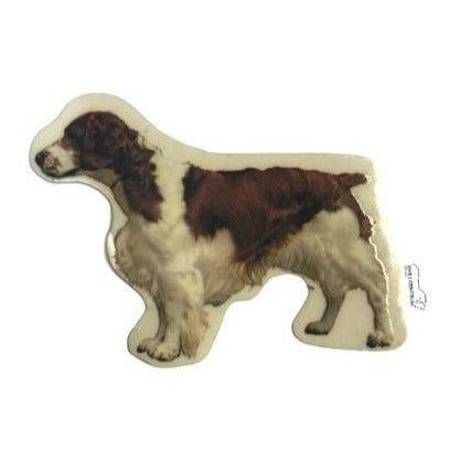 World Stickers Sweeden Klistermærke - Welsh Springer Spaniel