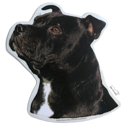 Klistermærke - Staffordshire Bull Terrier