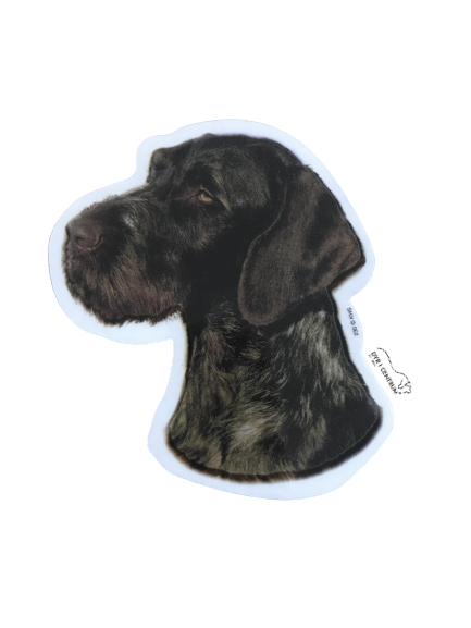 World Stickers Sweeden Klistermærke - Ruhåret Hønsehund