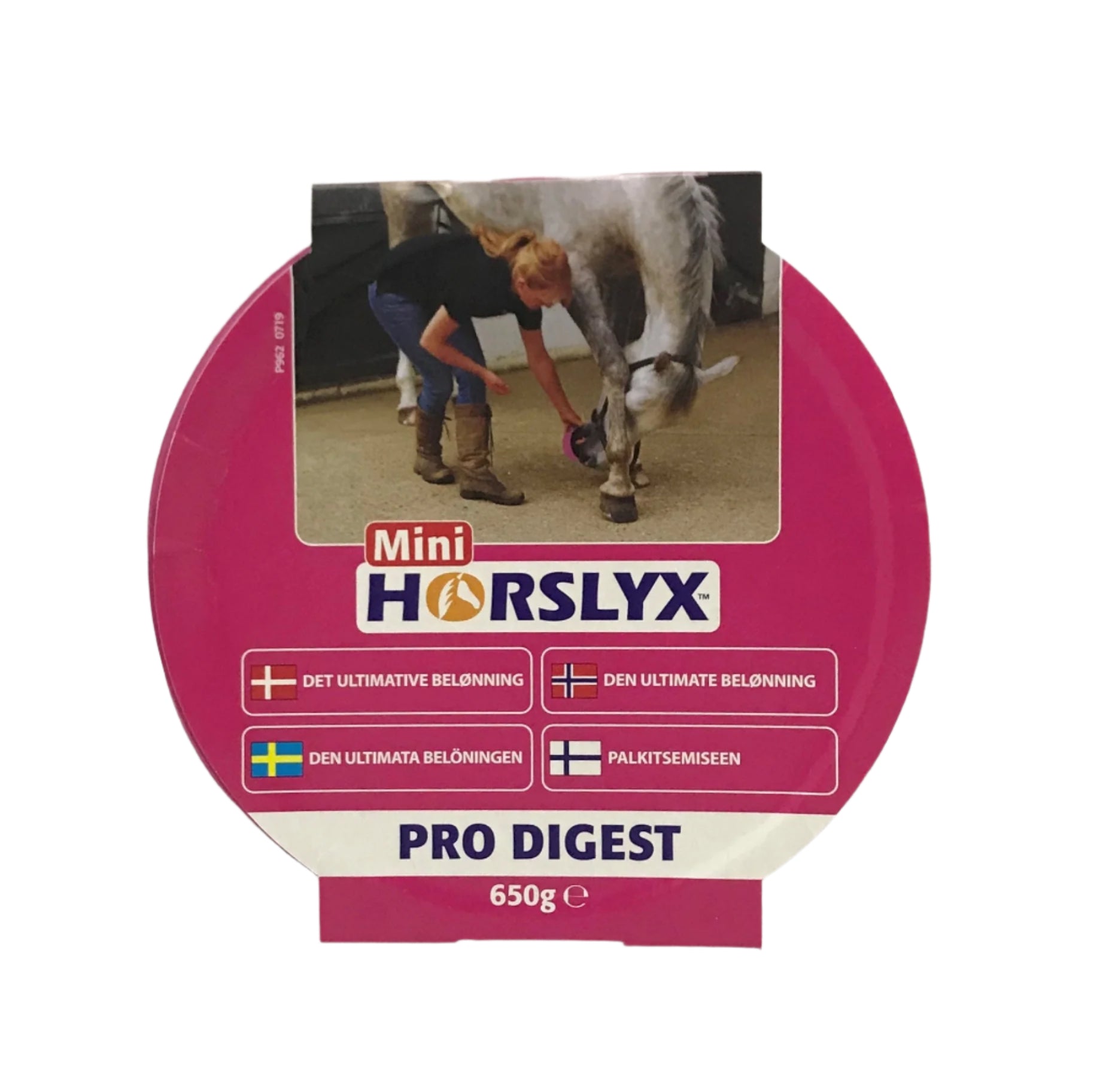 Horslyx sliksten