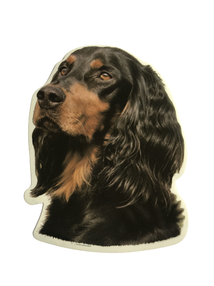 World Stickers Sweeden Klistermærke - Gordon Setter