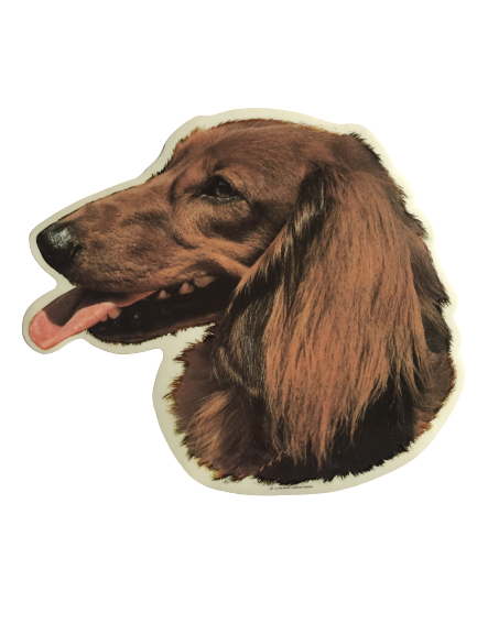 World Stickers Sweeden Klistermærke - Langhåret Gravhund