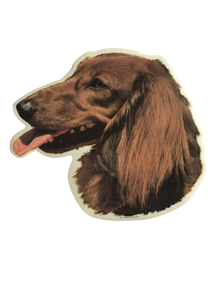 Klistermærke - Langhåret Gravhund