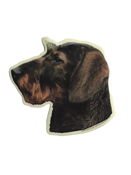 World Stickers Sweeden Klistermærke - Ruhåret Gravhund