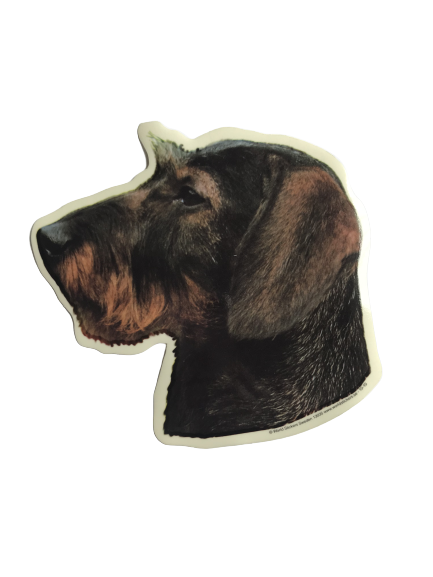 Klistermærke - Ruhåret Gravhund
