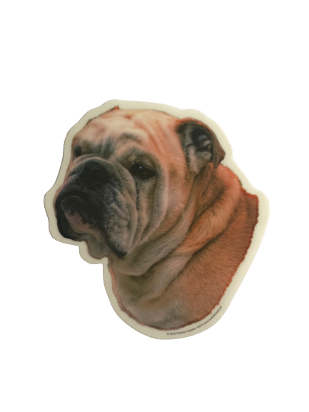 World Stickers Sweeden Klistermærke - Engelsk Bulldog