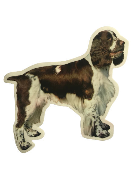 Klistermærke - Springer Spaniel