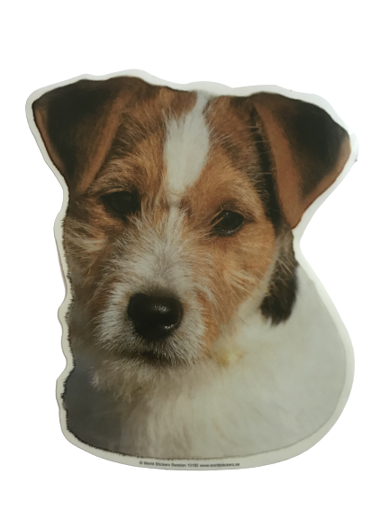 Klistermærke - Jack Russel Terrier