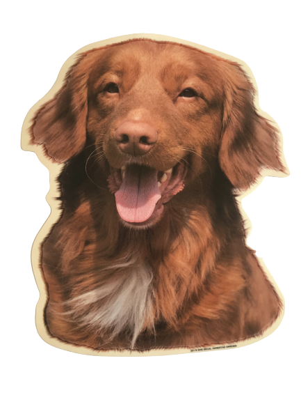 World Stickers Sweeden Klistermærke - Nova Scotia Duck Tolling Retriever