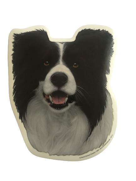 Klistermærke - Border Collie