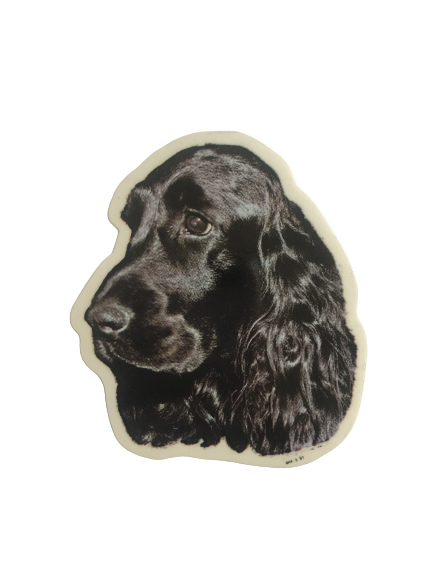 Klistermærke - Sort Cocker Spaniel