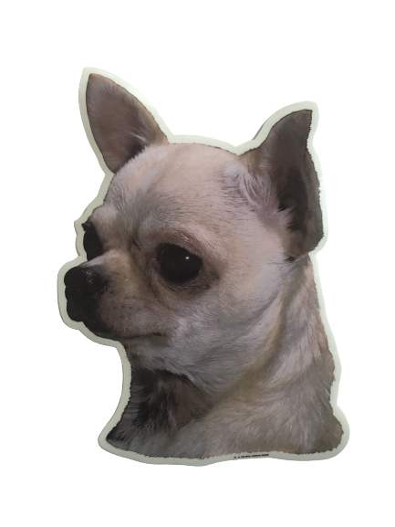 World Stickers Sweeden Klistermærke - Korthåret Chihuahua
