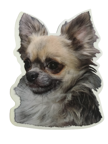World Stickers Sweeden Klistermærke - Langhåret Chihuahua