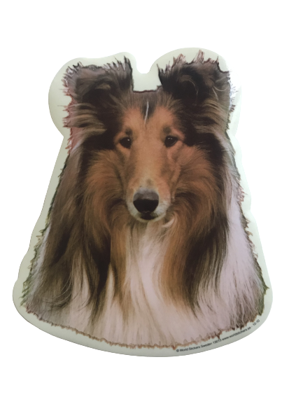 World Stickers Sweeden Klistermærke - Collie