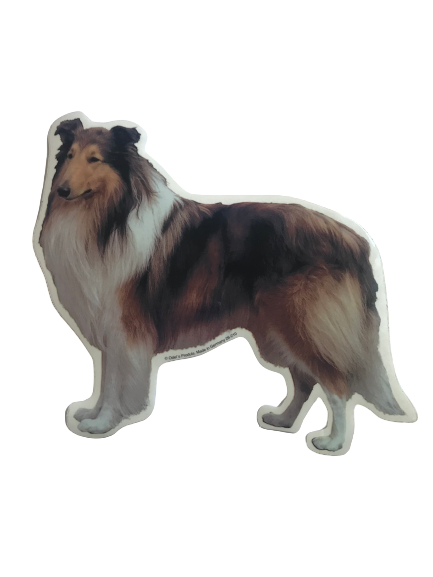 World Stickers Sweeden Klistermærke - Collie