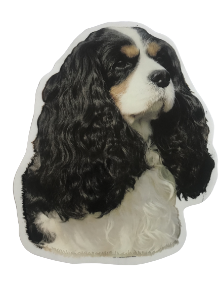 World Stickers Sweeden Klistermærke - Tricolor Cavalier King Charles Spaniel