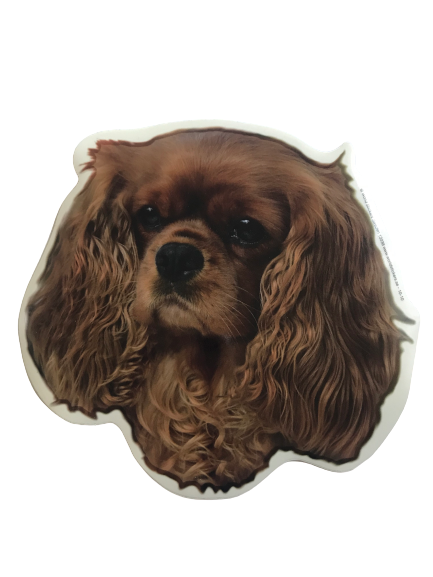 World Stickers Sweeden Klistermærke - Ruby Cavalier King Charles Spaniel