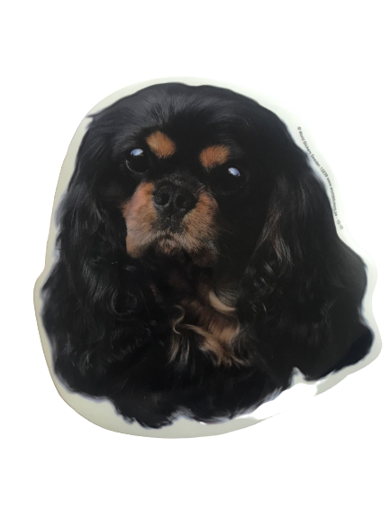 World Stickers Sweeden Klistermærke - Black & Tan Cavalier King Charles Spaniel