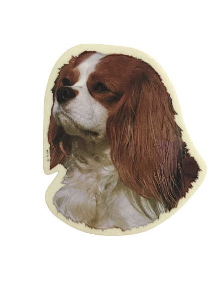 World Stickers Sweeden Klistermærke - Blenheim Cavalier King Charles Spaniel