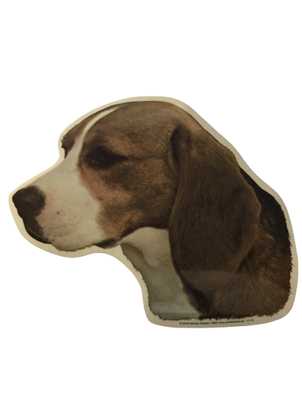 World Stickers Sweeden Klistermærke - Beagle