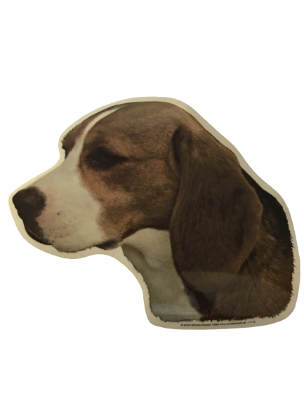 Klistermærke - Beagle
