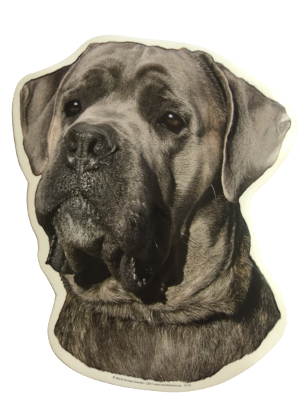 World Stickers Sweeden Klistermærke - Cane Corso