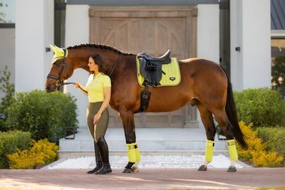 LeMieux Loire Classic Dressurunderlag-OUTLET