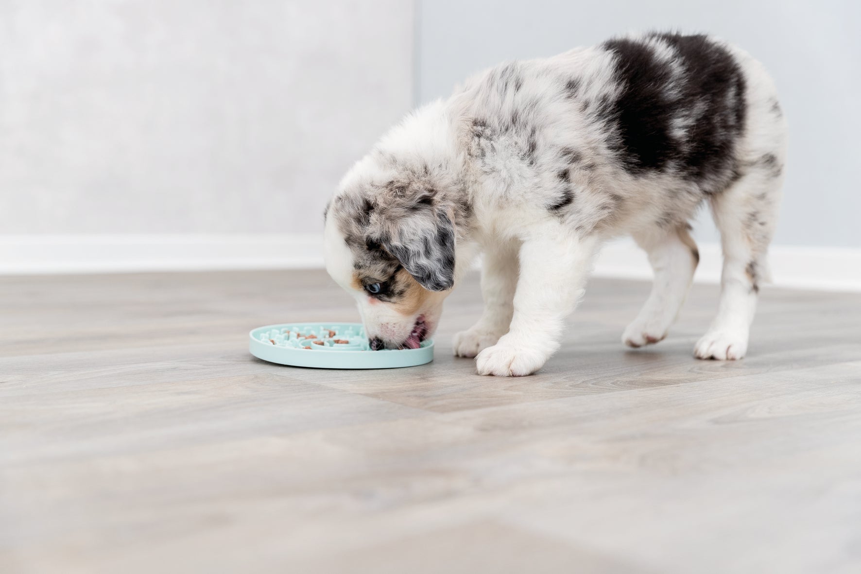 Trixie Junior Slikkeplade