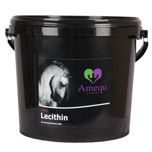 Dangro Nordic Amequ Gastrisafe (Lecithin)