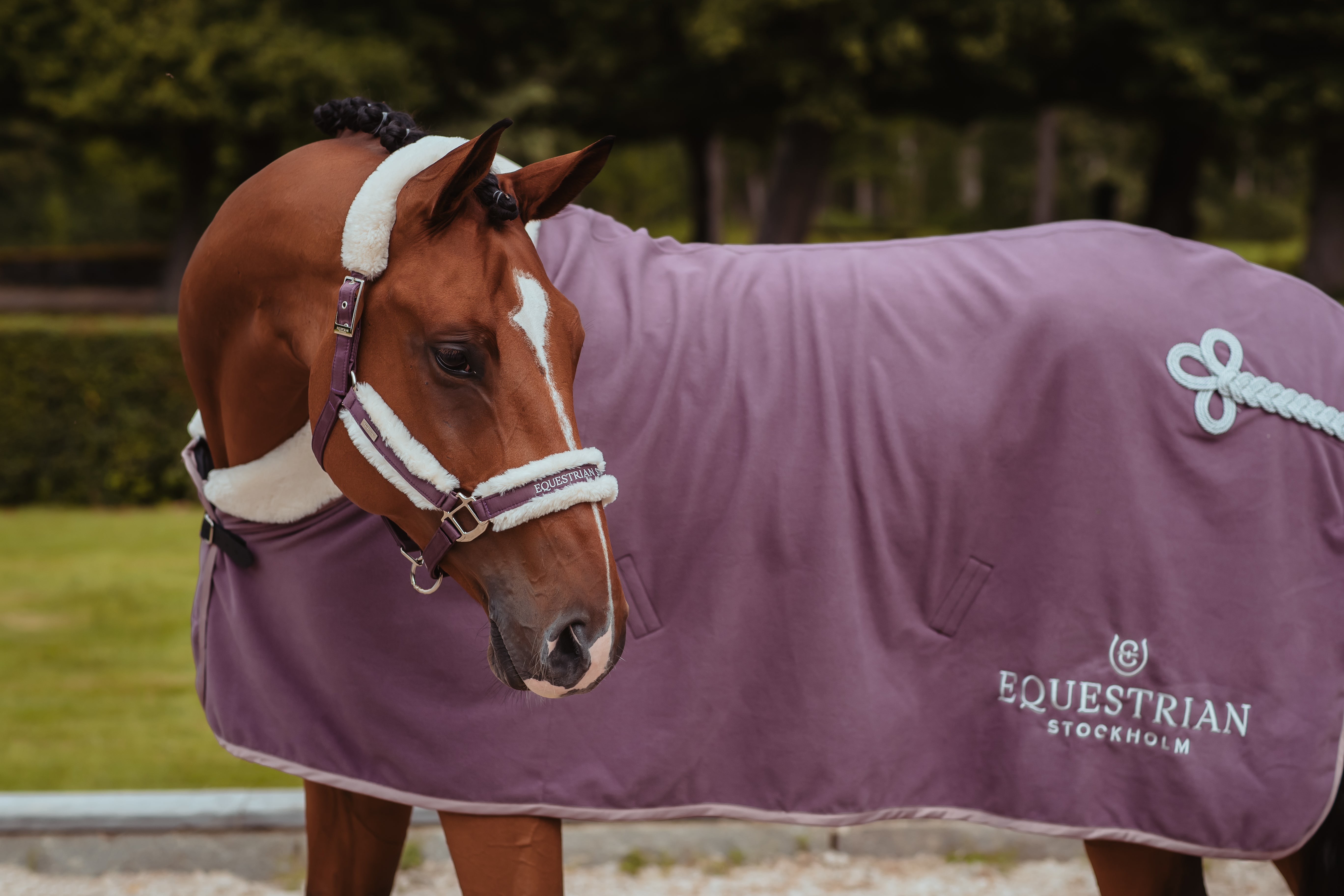 Equestrian Stockholm Orchid Bloom Grime + Træktov - OUTLET