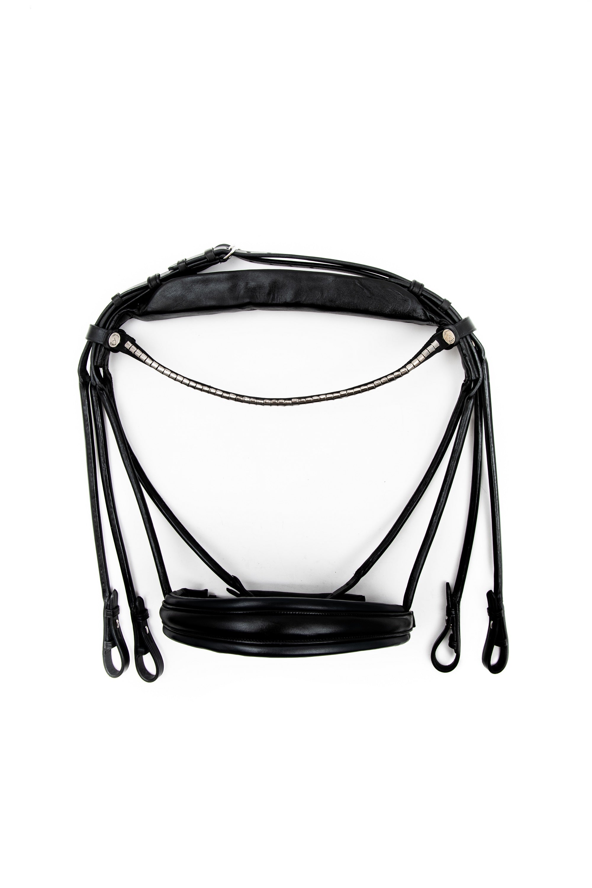 EquiSpecially Finesse Kandar - OUTLET