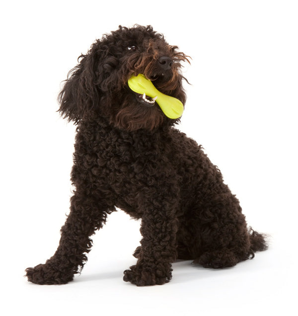 West Paw Hurley Bone