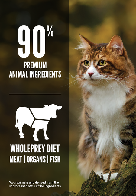 Orijen Regional Red Cat