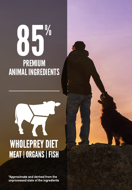 Orijen Regional Red Dog