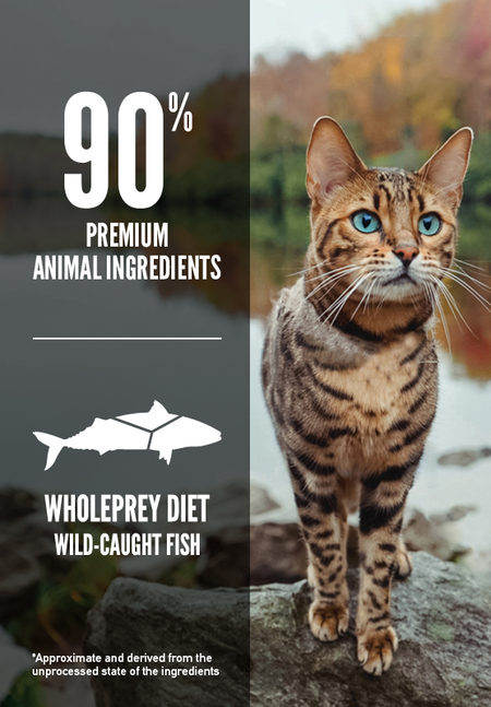 Orijen Six Fish Cat