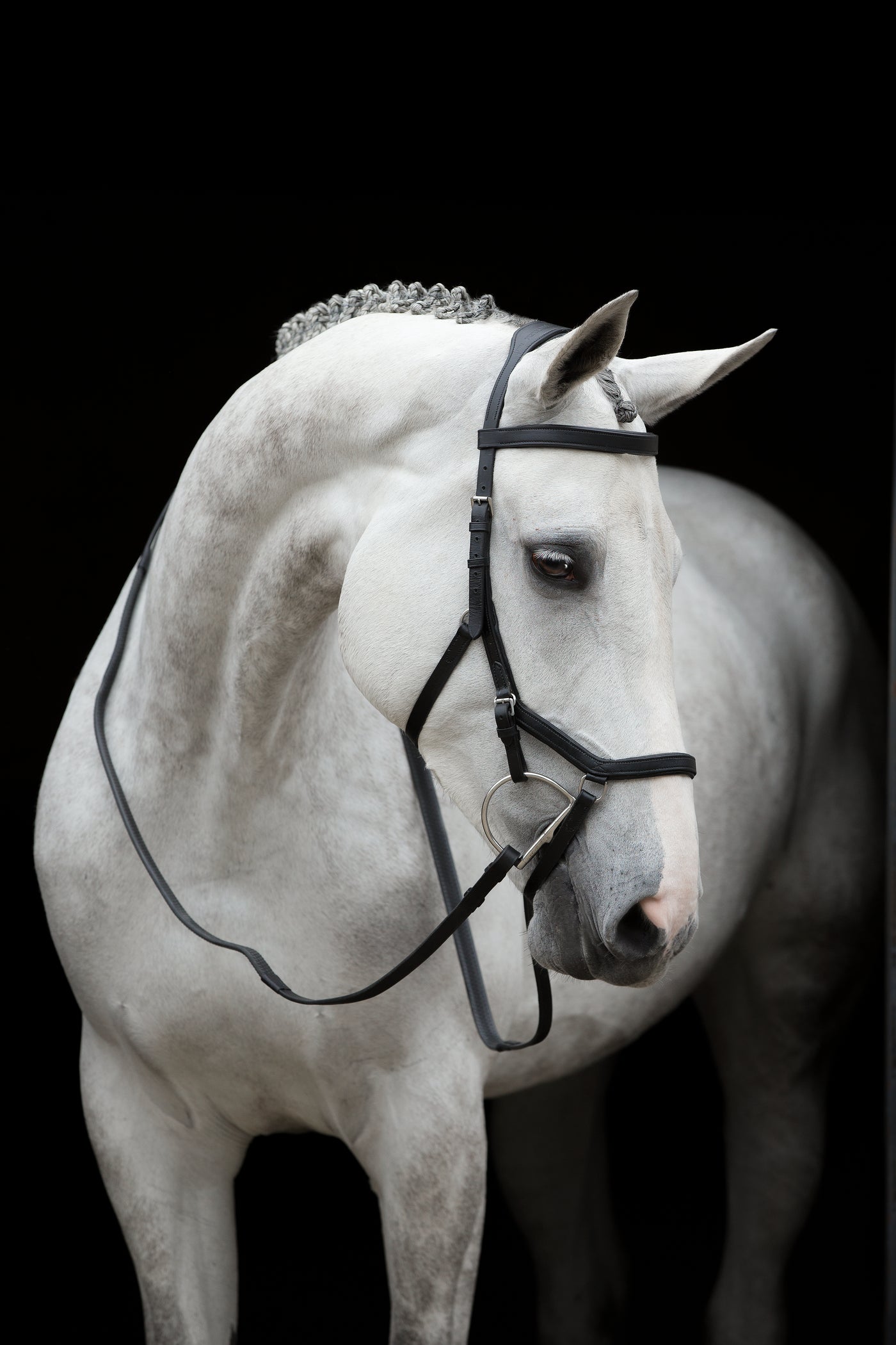 Rambo Micklem Competition Bridle - OUTLET